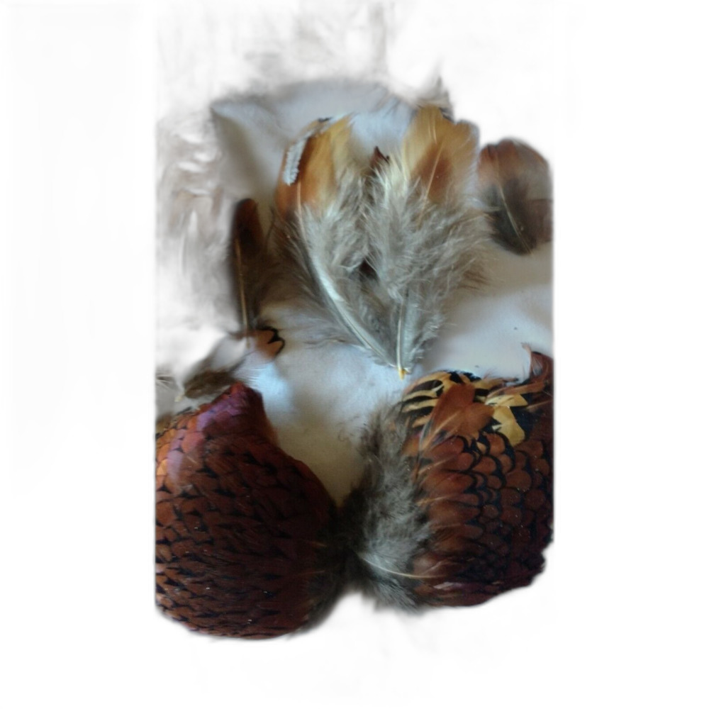Natural Ring Neck Pheasant Feathers 3-4 oz of Feathers Per Baggie